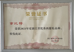 浙江省优秀西甜瓜品种 西瓜 拿比特