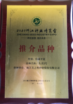 浙江省种博会推介品种 甘蓝 久喜2号